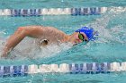 Swimming & Diving vs RWU  Swimming & Diving vs Roger Williams University. - Photo by Keith Nordstrom : Wheaton, Swimming